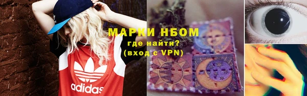 шишки Медвежьегорск