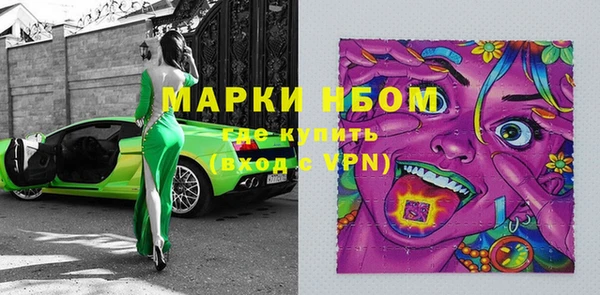шишки Медвежьегорск