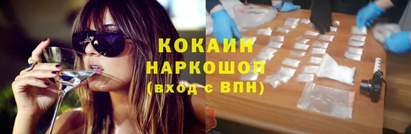шишки Медвежьегорск