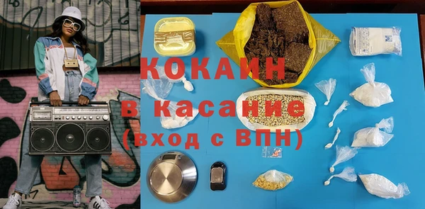 шишки Медвежьегорск