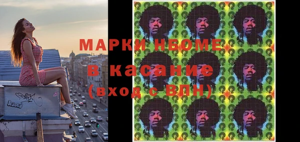 шишки Медвежьегорск