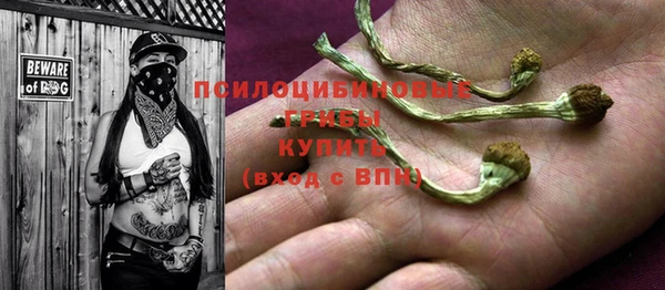 2c-b Мегион