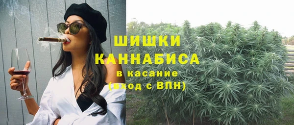 2c-b Мегион