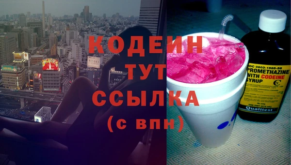 шишки Медвежьегорск