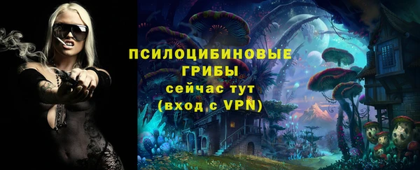 2c-b Мегион