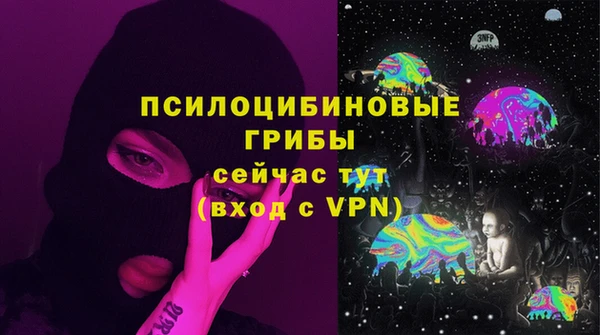 шишки Медвежьегорск