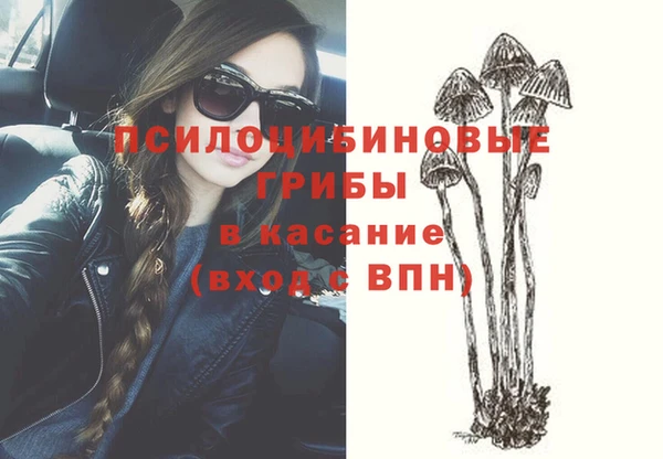 прущая мука Медногорск