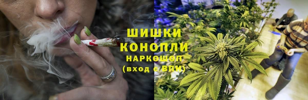 2c-b Мегион