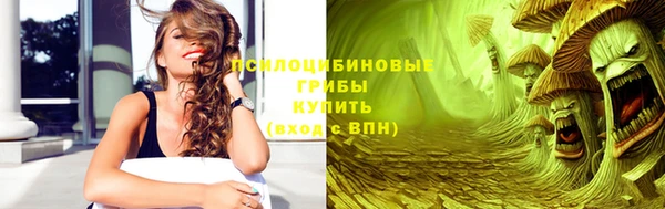 шишки Медвежьегорск